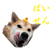 835066962