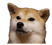 835066963