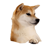 835066964