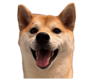 835066965