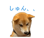 835066967