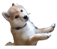 835066969