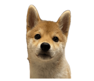 835066971