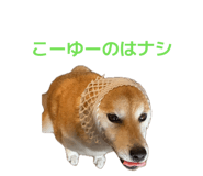 835066972