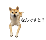 835066975