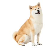 835066976