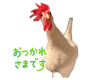 835067818