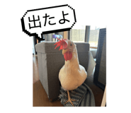835067834