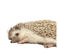 835068442