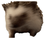 835068445