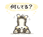 835068805