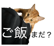 835068936