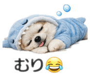 835096125