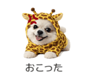 835096134