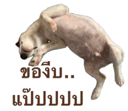 835099289