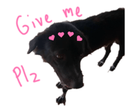 835100767
