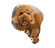 835101546
