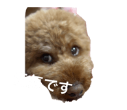 835101548