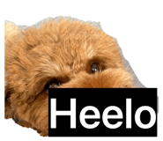 835101562
