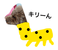 835101569
