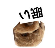835101570