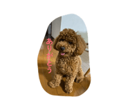 835103765