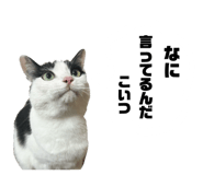 835110808