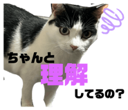 835110809