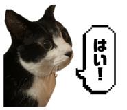 835111569