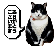 835111570