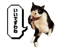835111571