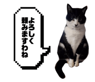 835111572