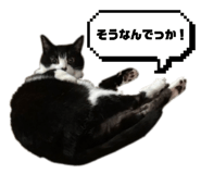 835111576