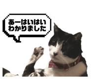 835111578