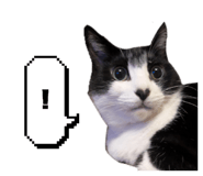 835111579