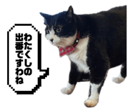 835111585