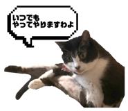 835111589