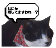 835111591