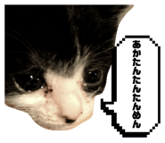 835111598
