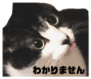 835111600