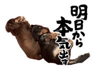 835122382
