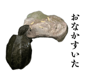 835122455