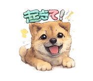 835122578
