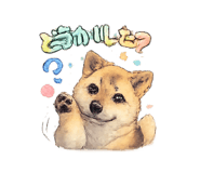 835122580