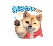 835122585