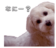 835122761