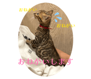 835123932