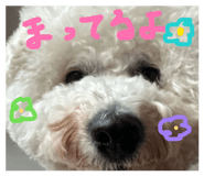 835124405