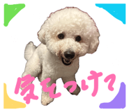 835124408