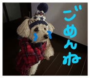 835124417